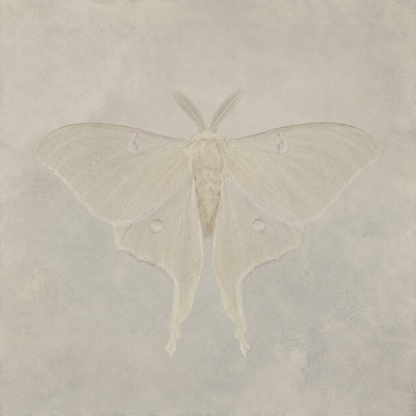 ACTIAS silver ring