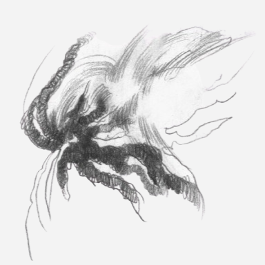 ingabitus